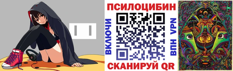 Псилоцибиновые грибы мицелий  Корсаков 