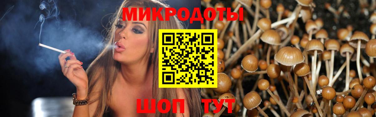 Псилоцибиновые грибы Psilocybe Корсаков