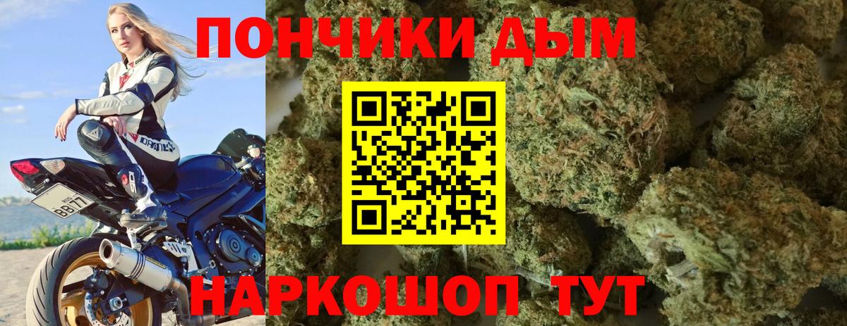 Бошки Шишки планчик Корсаков